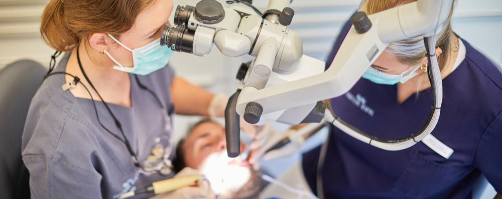 Die mikroskopische Endodontie