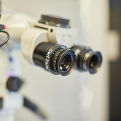 Die mikroskopische Endodontie